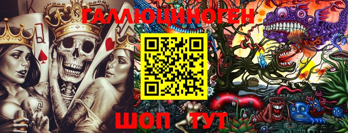 Гатчина  Галлюциногенные грибы ЛСД  Вход с VPN 