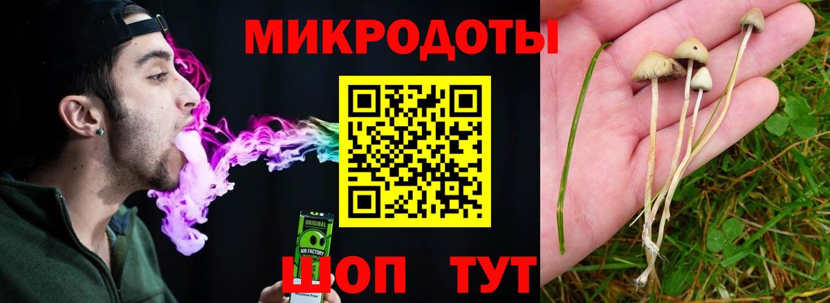 Меф МЯУ МЯУ   ГАШИШ  Каннабис  A-PVP СОЛЬ   Гатчина  Канабис  COCAIN  Вход с VPN 