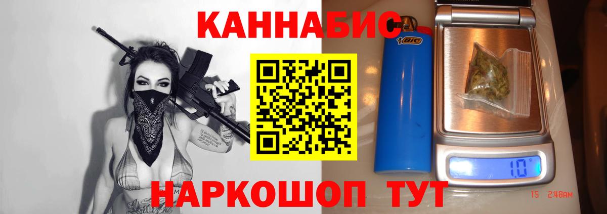Канабис сатива Гатчина